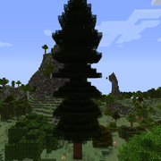 Дерево секвойи.png